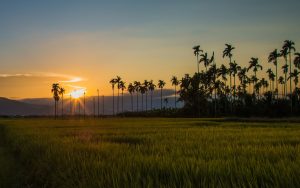 4rabet App Download for Free: Step-by-Step Guide for India (2026)